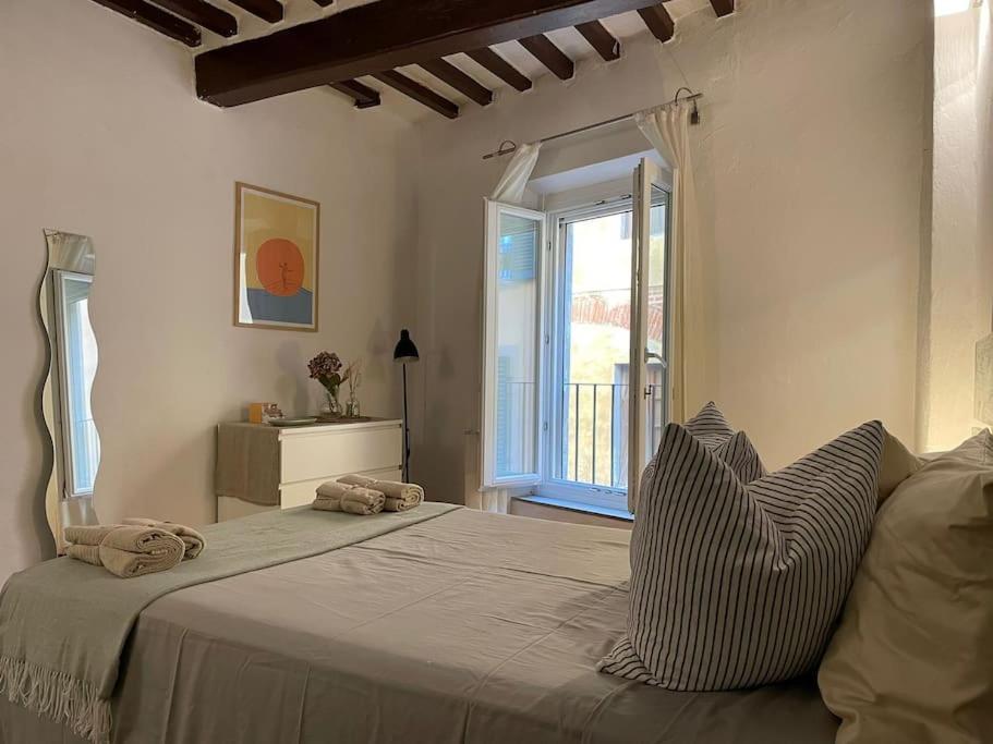 Casa Storica Nel Cuore Di Pisa - Lungarno Zewnętrze zdjęcie